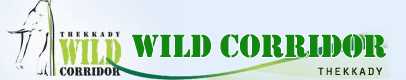 WILD CORRIDOR - THEKKADY